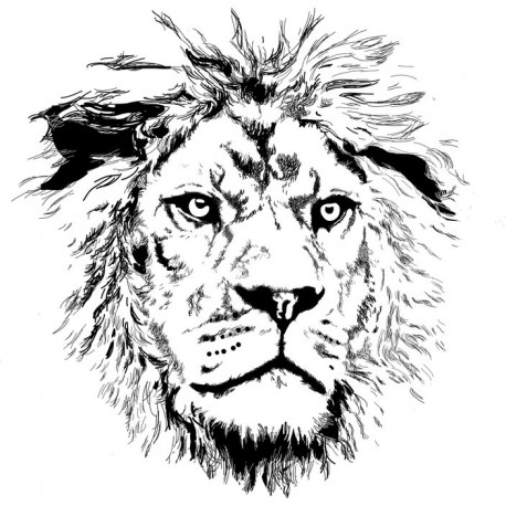 Sticker lion noir